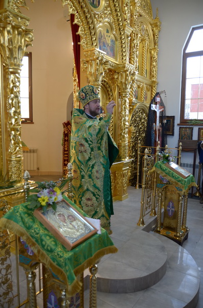 JPR_0659_новый размер