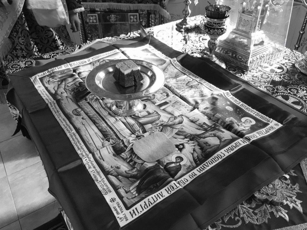 photo_2020-04-15_11-18-33