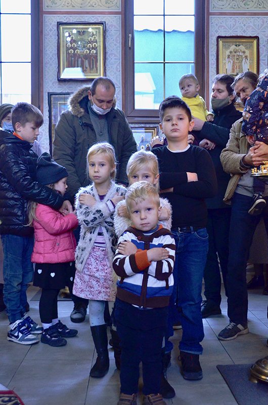 15 ноября 2020 (24)